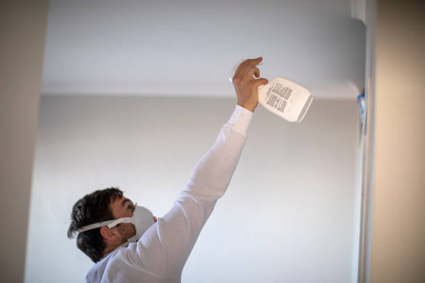 Best Fast Mold Removal  in Luverne, AL
