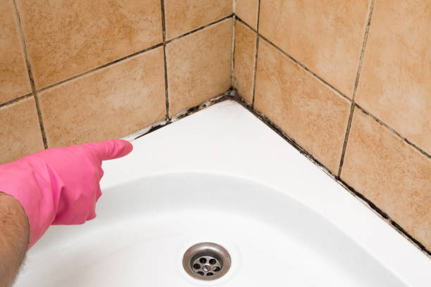 Best Mold Cleaning Services  in Luverne, AL